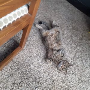 Meet your Posher, Jaylee